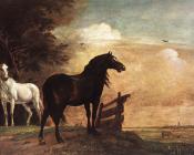 Horses In A Field - 派勒斯·波特